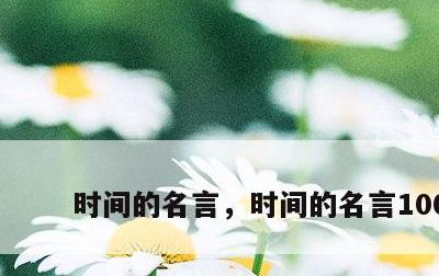 时间的名言，时间的名言100条
