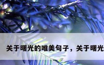 关于曙光的唯美句子，关于曙光的短句