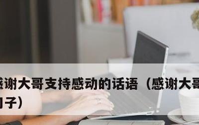 感谢大哥支持感动的话语，感谢大哥刷礼物的句子