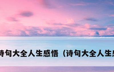 诗句大全人生感悟，诗句大全人生感悟爱情