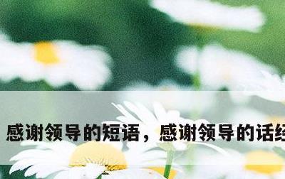 感谢领导的短语，感谢领导的话经典精辟