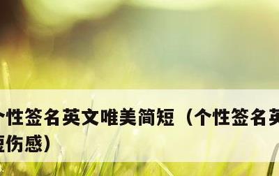 个性签名英文唯美简短，个性签名英文唯美简短伤感