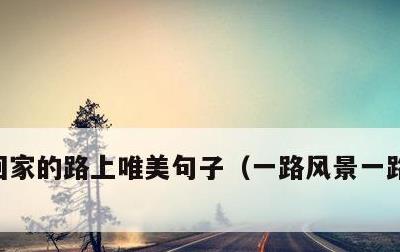 回家的路上唯美句子，一路风景一路心情句子