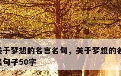 关于梦想的名言名句，关于梦想的名言名句优美句子50字