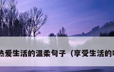 热爱生活的温柔句子，享受生活的唯美句子