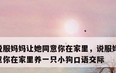 说服妈妈让她同意你在家里，说服妈妈让她同意你在家里养一只小狗口语交际