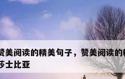 赞美阅读的精美句子，赞美阅读的精美句子 莎士比亚