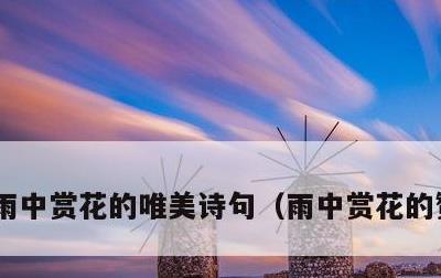 雨中赏花的唯美诗句，雨中赏花的赞美短句