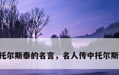 托尔斯泰的名言，名人传中托尔斯泰的名言