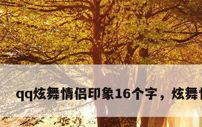 qq炫舞情侣印象16个字，炫舞情侣名