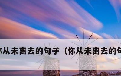 你从未离去的句子，你从未离去的句子怎么说
