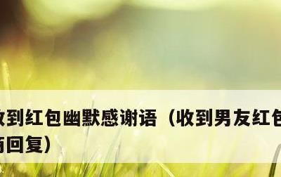 收到红包幽默感谢语，收到男友红包如何高情商回复