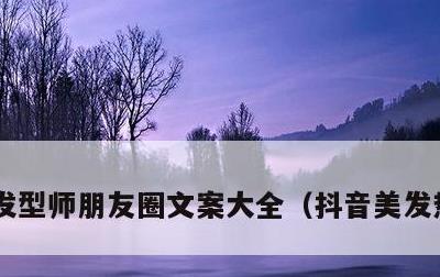 发型师朋友圈文案大全，抖音美发热门文案