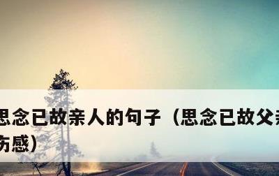 思念已故亲人的句子，思念已故父亲的句子 伤感