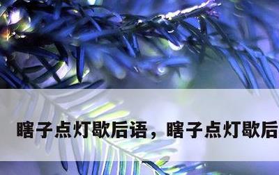 瞎子点灯歇后语，瞎子点灯歇后语造句