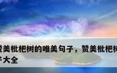 赞美枇杷树的唯美句子，赞美枇杷树的唯美句子大全