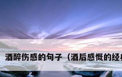 酒醉伤感的句子，酒后感慨的经典句子