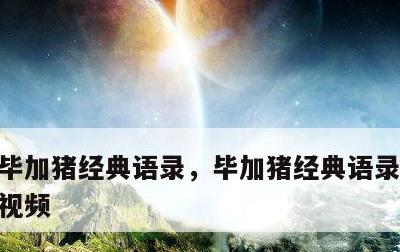 毕加猪经典语录，毕加猪经典语录1到15集视频