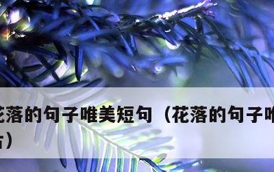 花落的句子唯美短句，花落的句子唯美短句图片