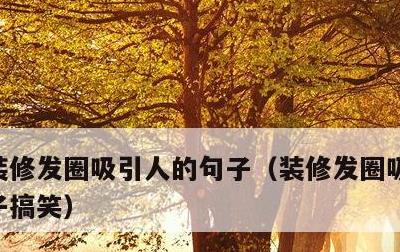 装修发圈吸引人的句子，装修发圈吸引人的句子搞笑