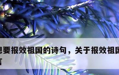 想要报效祖国的诗句，关于报效祖国的诗句名言