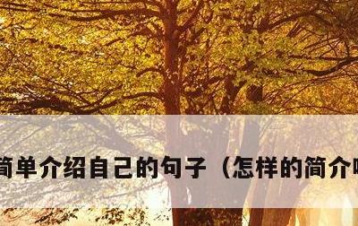 简单介绍自己的句子，怎样的简介吸引粉丝