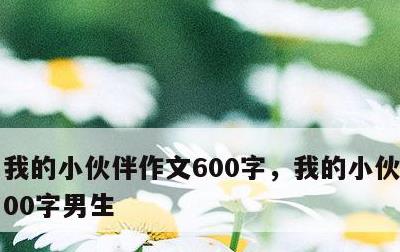 我的小伙伴作文600字，我的小伙伴作文600字男生