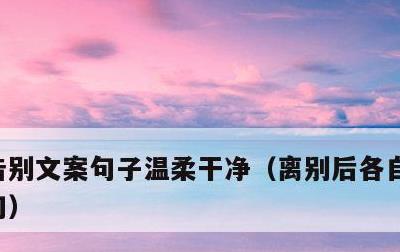 告别文案句子温柔干净，离别后各自珍重的诗句