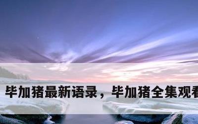 毕加猪最新语录，毕加猪全集观看爱奇艺
