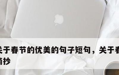 关于春节的优美的句子短句，关于春节的美句摘抄