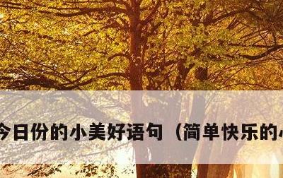 今日份的小美好语句，简单快乐的心态句子