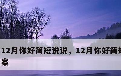 12月你好简短说说，12月你好简短说说文案