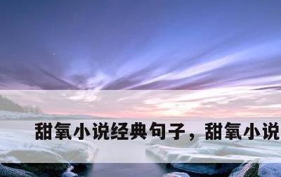 甜氧小说经典句子，甜氧小说书摘