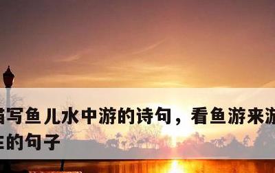 描写鱼儿水中游的诗句，看鱼游来游去感悟人生的句子