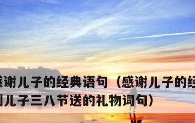 感谢儿子的经典语句，感谢儿子的经典语句收到儿子三八节送的礼物词句