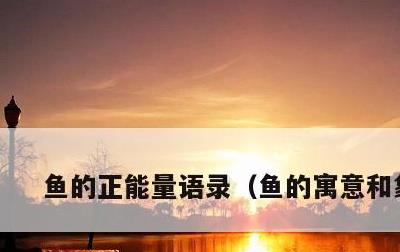鱼的正能量语录，鱼的寓意和象征