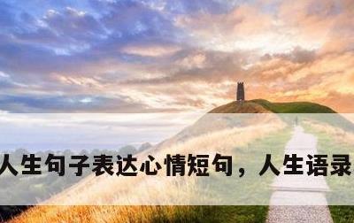 人生句子表达心情短句，人生语录心情说说