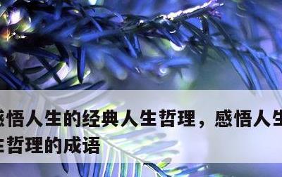 感悟人生的经典人生哲理，感悟人生的经典人生哲理的成语