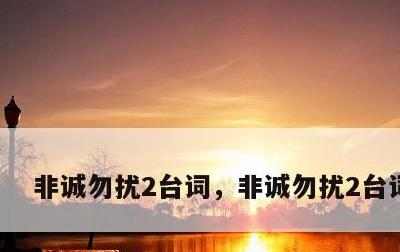 非诚勿扰2台词，非诚勿扰2台词分析