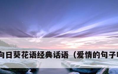 向日葵花语经典话语，爱情的句子唯美短句