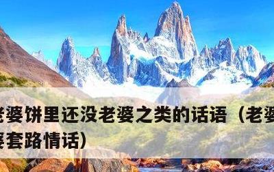 老婆饼里还没老婆之类的话语，老婆饼没有老婆套路情话
