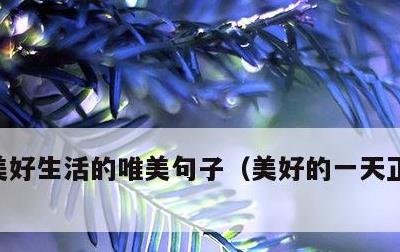 美好生活的唯美句子，美好的一天正能量句子