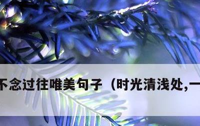 不念过往唯美句子，时光清浅处,一步一安然