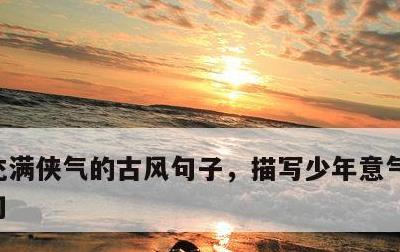 充满侠气的古风句子，描写少年意气风发的诗句
