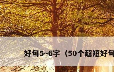 好句5~6字，50个超短好句