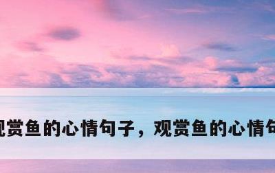 观赏鱼的心情句子，观赏鱼的心情句子有哪些