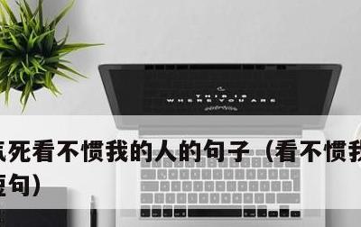 气死看不惯我的人的句子，看不惯我的人霸气短句