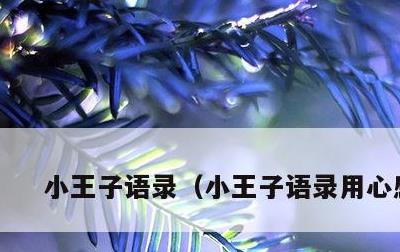 小王子语录，小王子语录用心感受