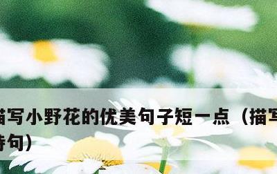 描写小野花的优美句子短一点，描写小野花的诗句