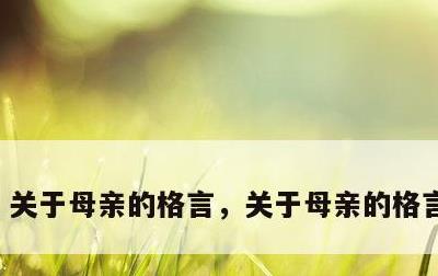 关于母亲的格言，关于母亲的格言或俗语
